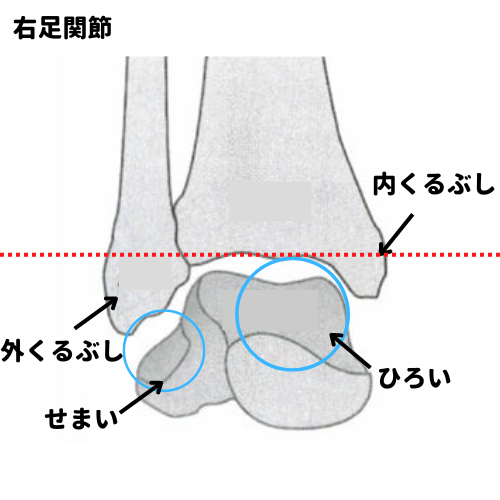 外側の足関節捻挫がなりやすい? - 長野県No1来院数 | 整体・整骨・鍼灸 | BJ整骨院グループ