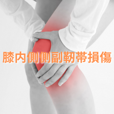 特集！膝内側側副靭帯損傷　第一回【側副靭帯損傷とは】
