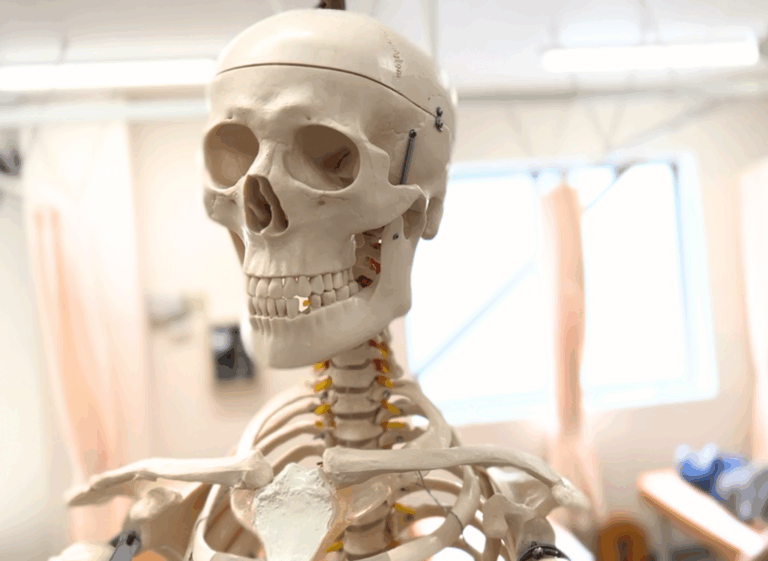 ⚠️なぜ病院で「原因不明」と言われるの？腰痛の9割の真実 ✨腰痛治療に強い上田市の整体院「うえだBJ整骨院」が解説⚠️