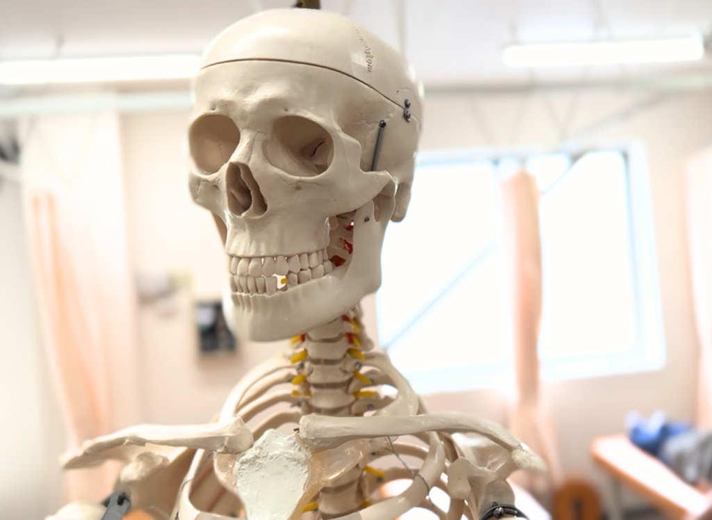 ⚠️なぜ病院で「原因不明」と言われるの？腰痛の9割の真実 ✨腰痛治療に強い上田市の整体院「うえだBJ整骨院」が解説⚠️