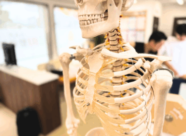⚠️そのイライラ、実は「肩こり」が原因かもしれません✨慢性の肩こり・慢性腰痛に強い長野市の整体院「きたながのBJ整骨院」が解説